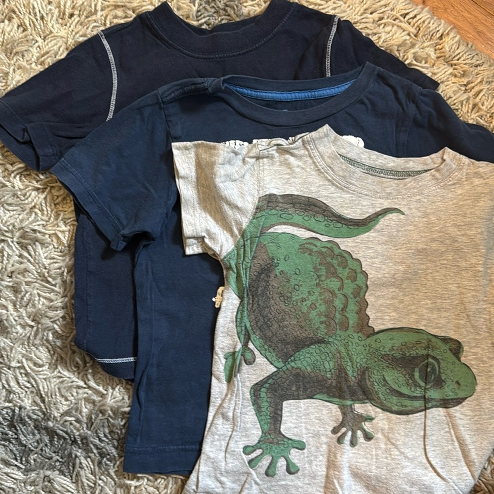 Bundle of Short Sleeves Tees